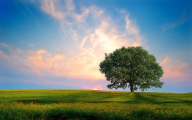 選擇沖剪機要注意哪些方面